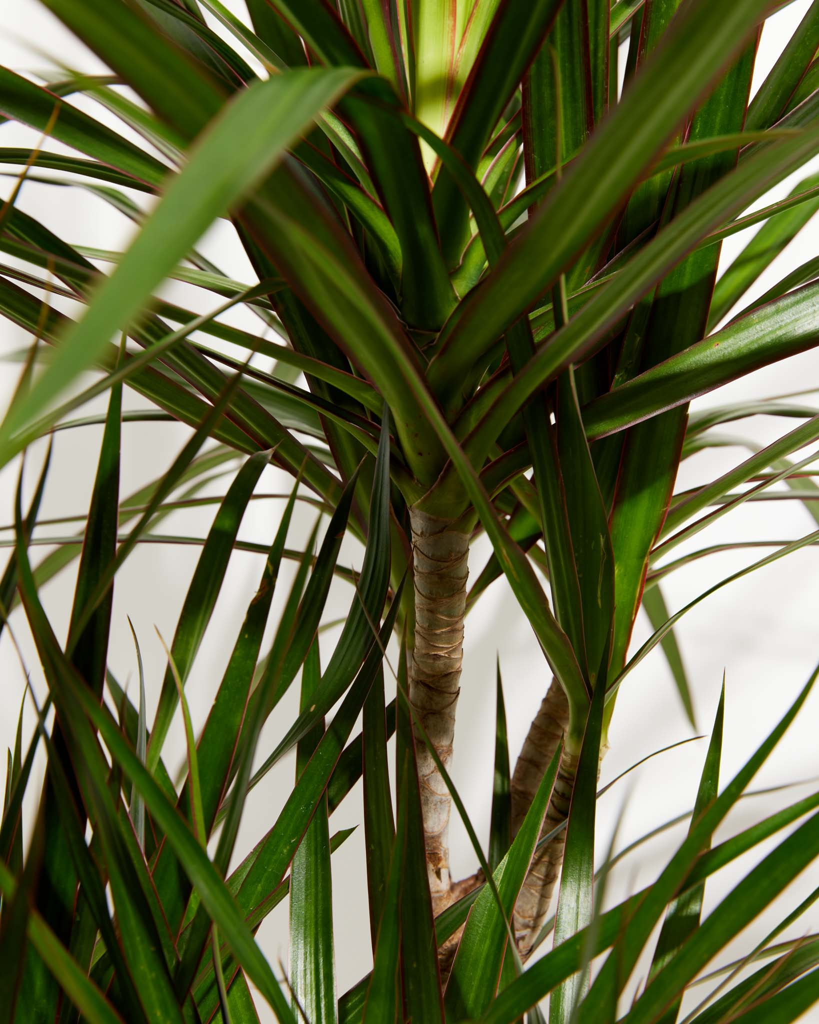 Thumbnail 18