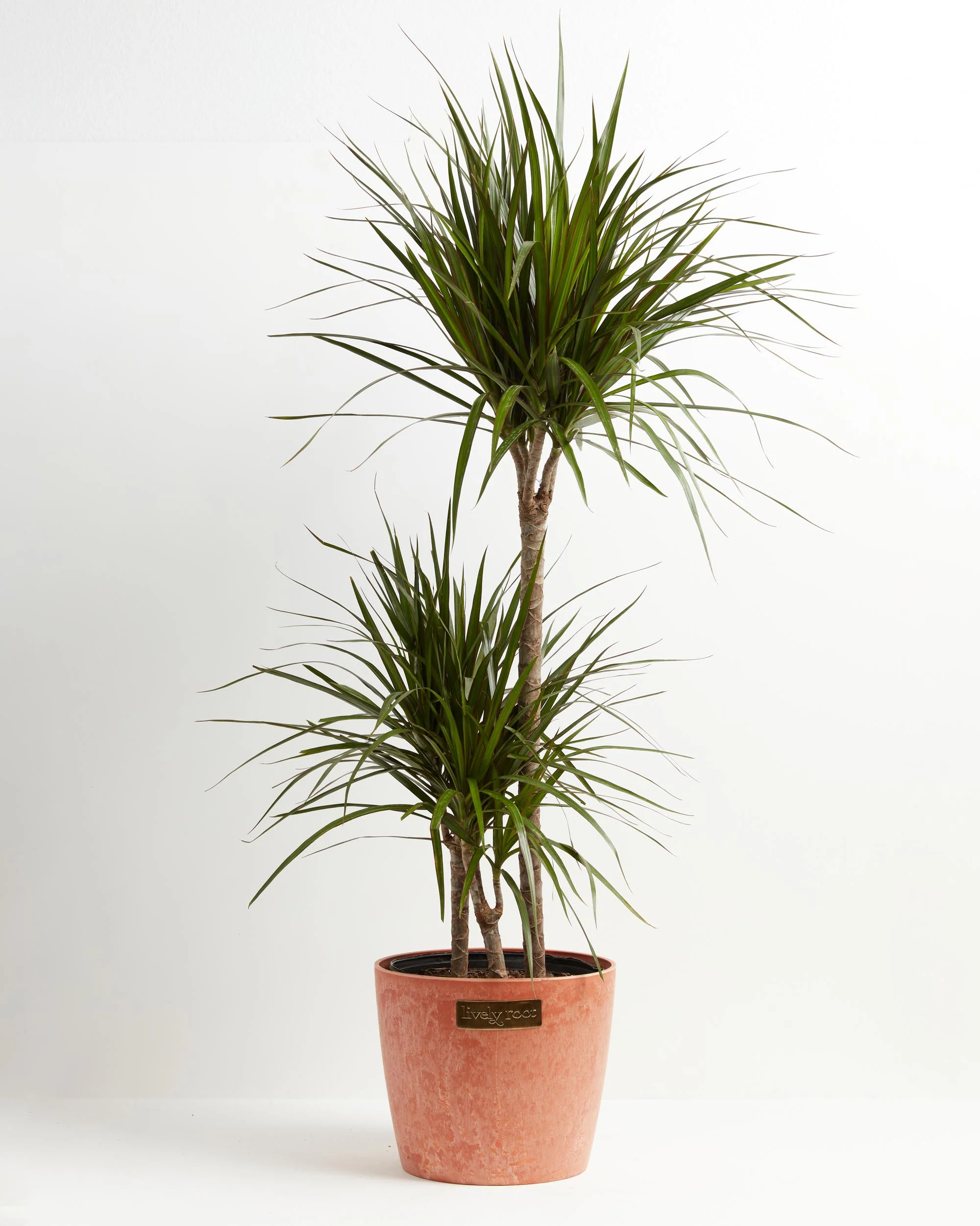 Thumbnail 30